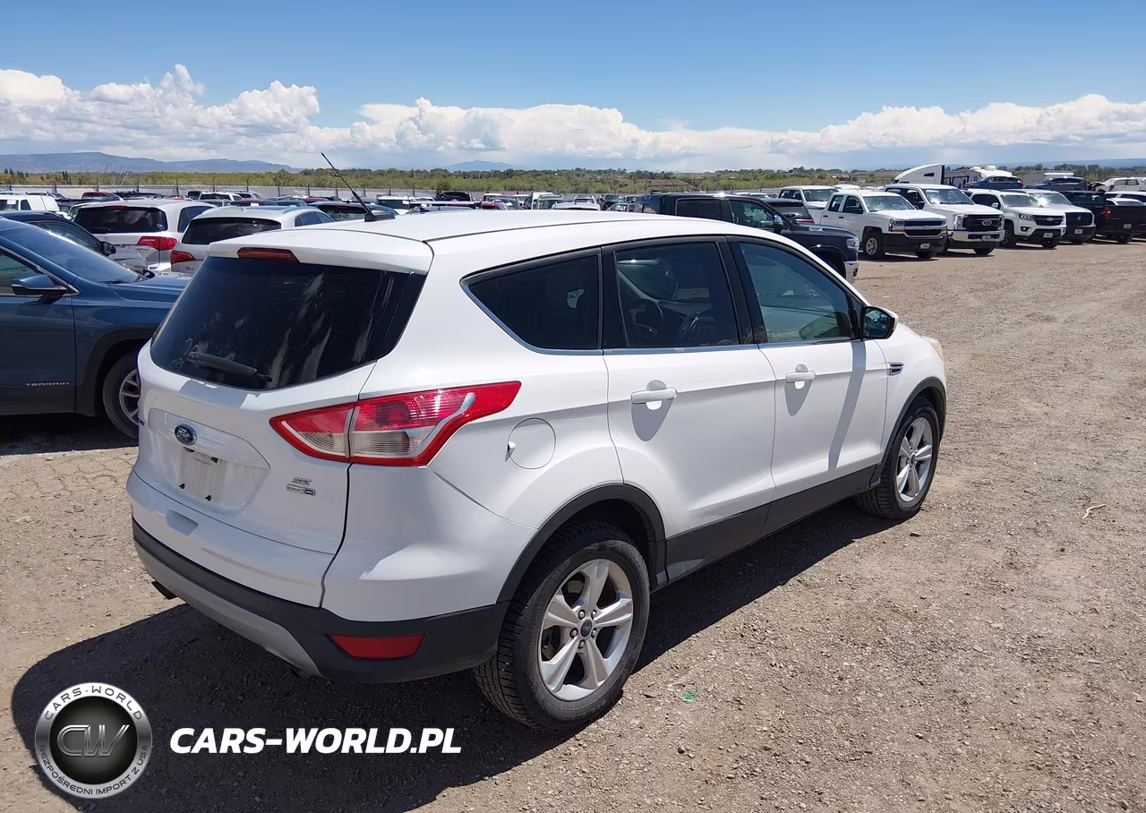 2014 Ford Escape Se VIN:1FMCU9GX8EUD94335 - 4