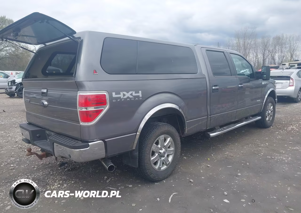 2014 Ford F-150 Fx4-King Ranch-Lariat-Limited-Platinum-Xl-Xlt VIN:1FTFW1ET7EKG30269 - 4