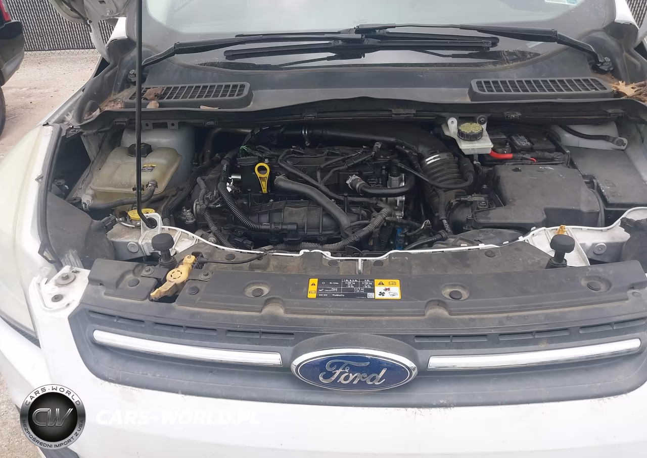 2013 Ford Escape Se VIN:1FMCU0GX7DUB02426 - 10