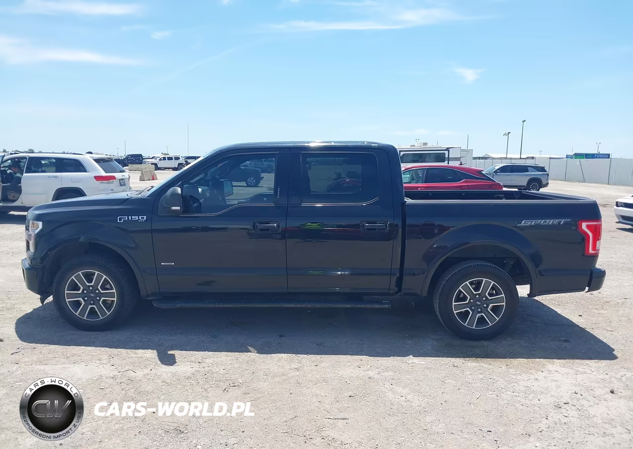 2016 Ford F-150 Lariat-Xl-Xlt VIN:1FTEW1CP4GKF65045 - 14