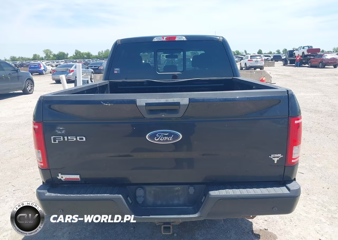 2016 Ford F-150 Lariat-Xl-Xlt VIN:1FTEW1CP4GKF65045 - 16