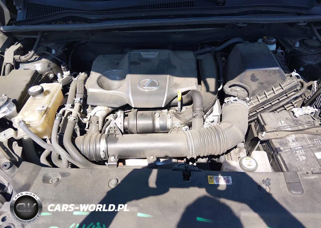 2020 Lexus Nx 300 F Sport VIN:JTJSARDZ4L2236160 - 10