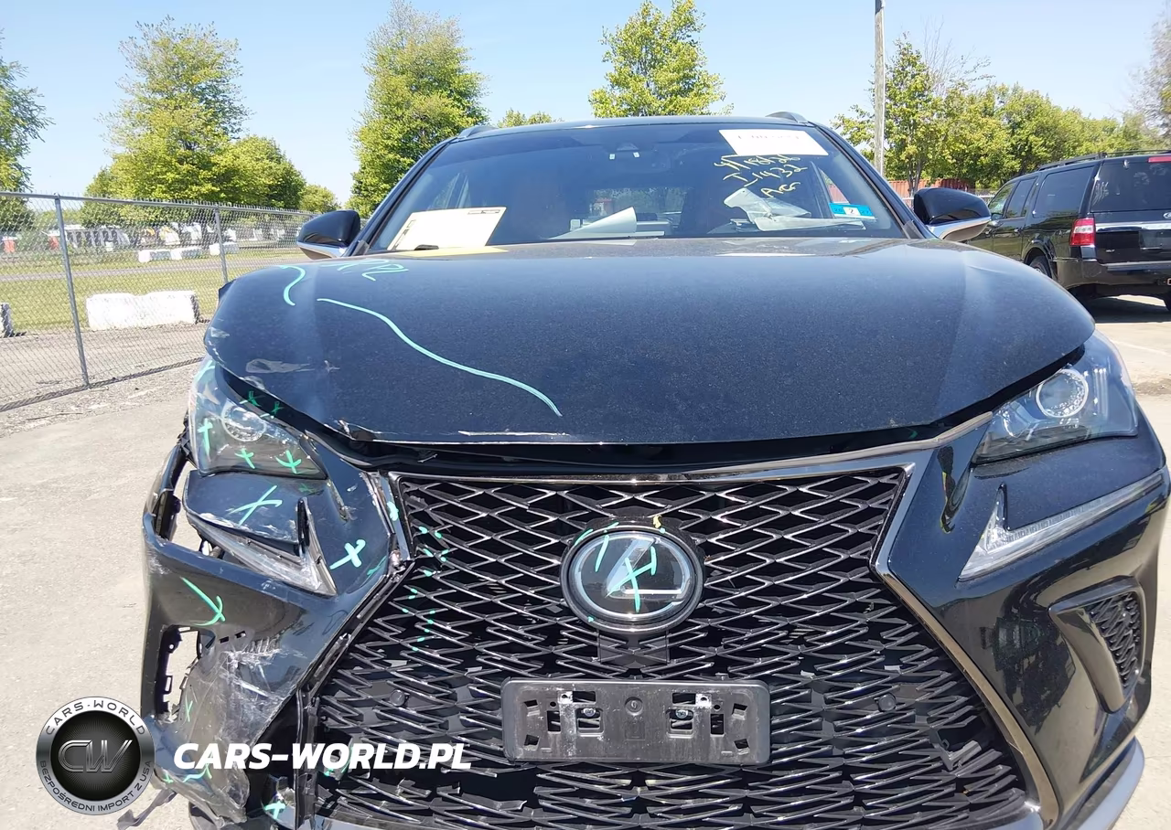 2020 Lexus Nx 300 F Sport VIN:JTJSARDZ4L2236160 - 12