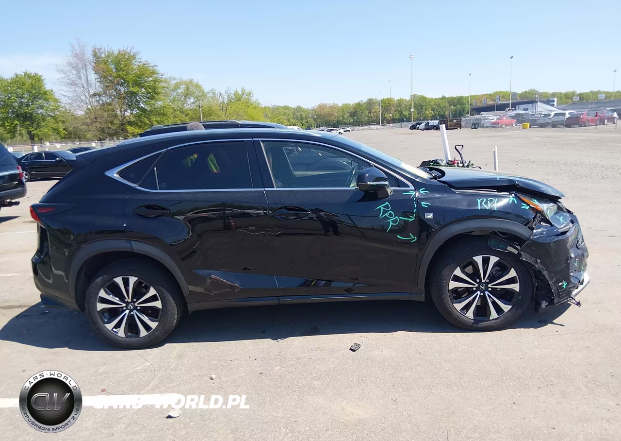 2020 Lexus Nx 300 F Sport VIN:JTJSARDZ4L2236160 - 13