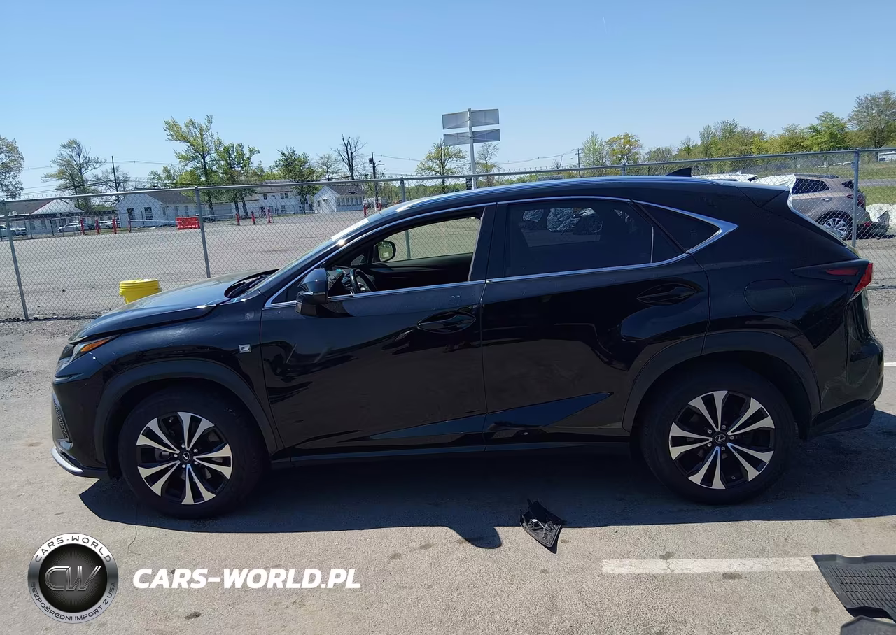 2020 Lexus Nx 300 F Sport VIN:JTJSARDZ4L2236160 - 14