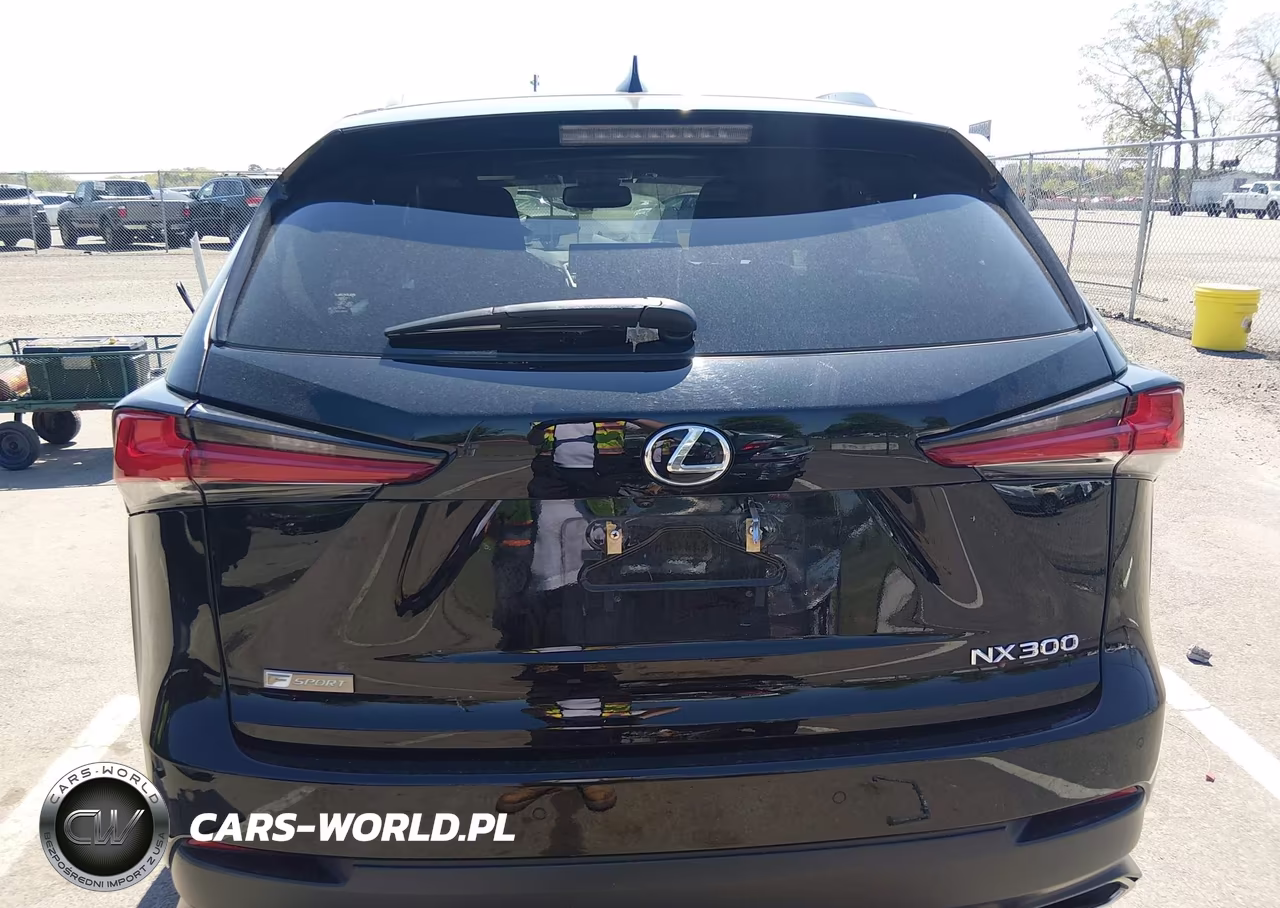 2020 Lexus Nx 300 F Sport VIN:JTJSARDZ4L2236160 - 16