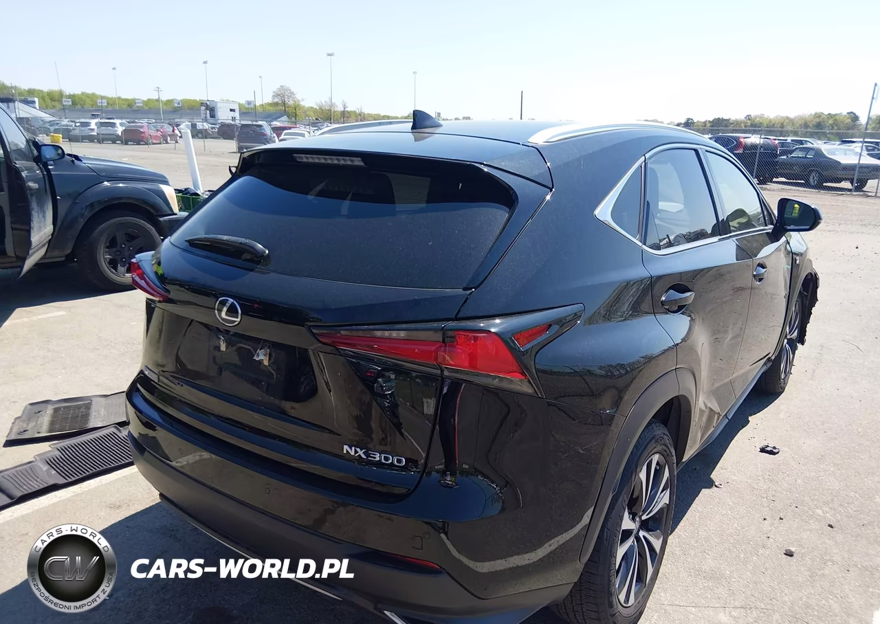 2020 Lexus Nx 300 F Sport VIN:JTJSARDZ4L2236160 - 4