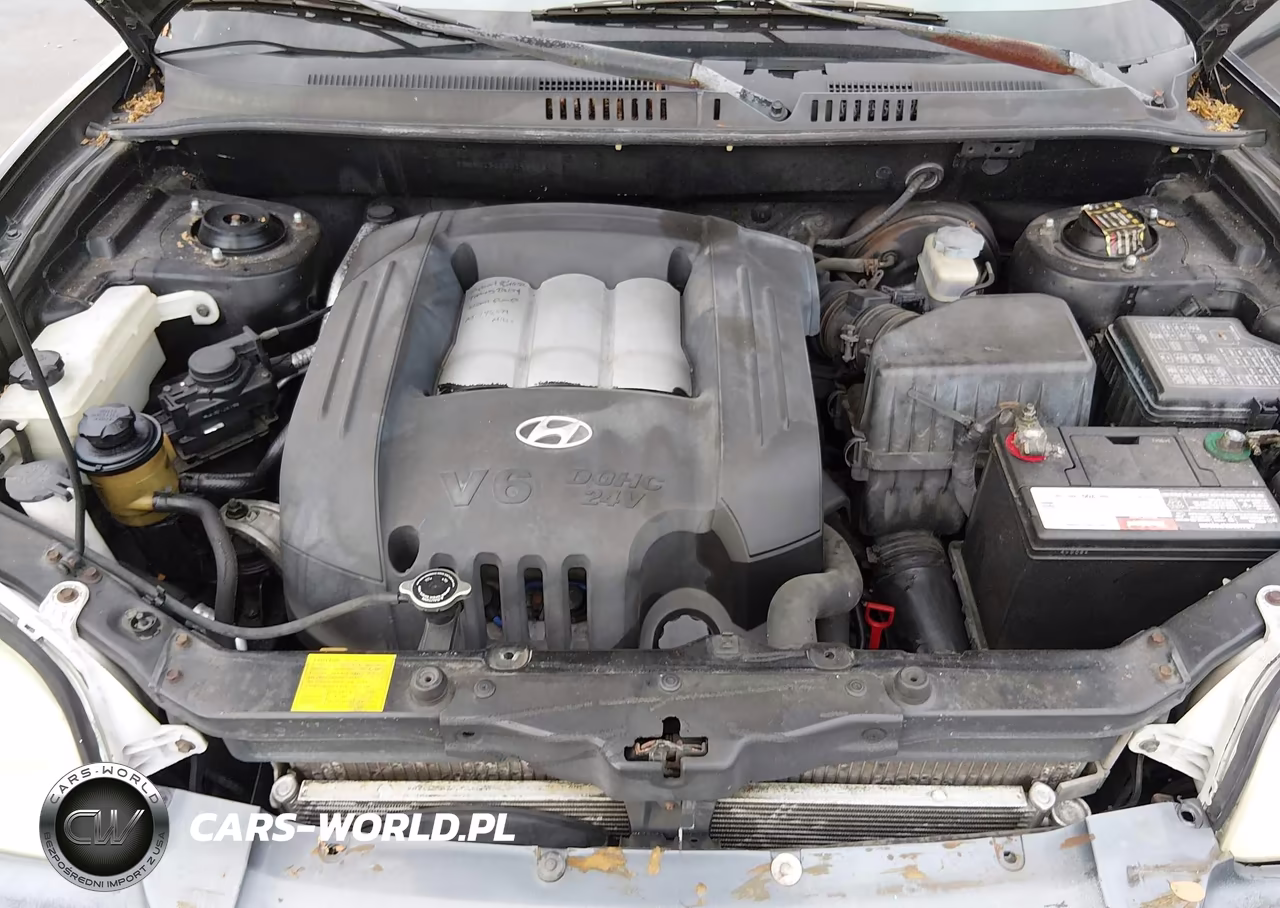 2002 Hyundai Santa Fe Gls-Lx VIN:KM8SC13D12U149643 - 10