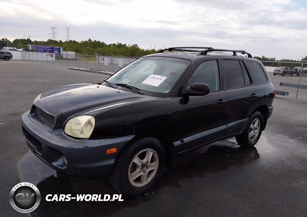 2002 Hyundai Santa Fe Gls-Lx VIN:KM8SC13D12U149643 - 2