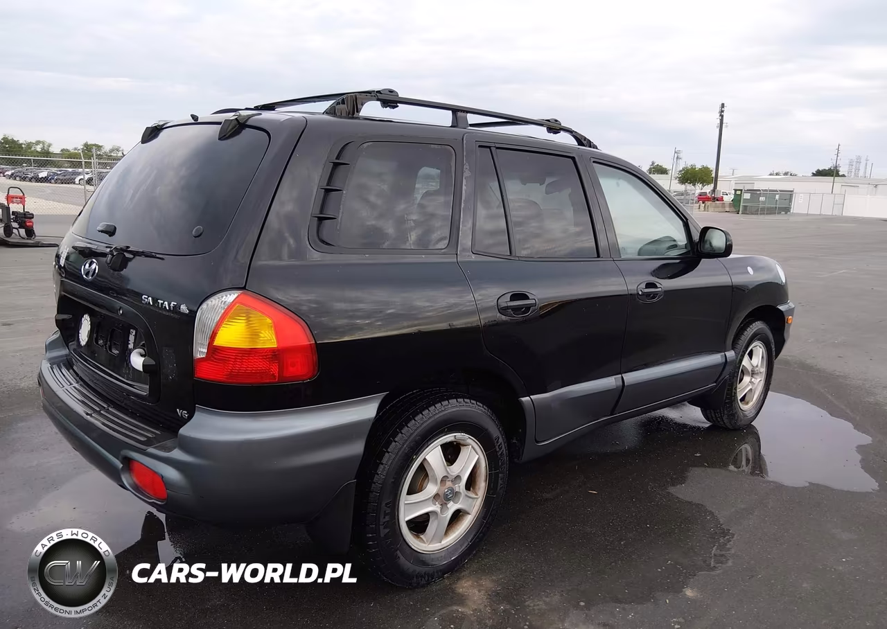 2002 Hyundai Santa Fe Gls-Lx VIN:KM8SC13D12U149643 - 4