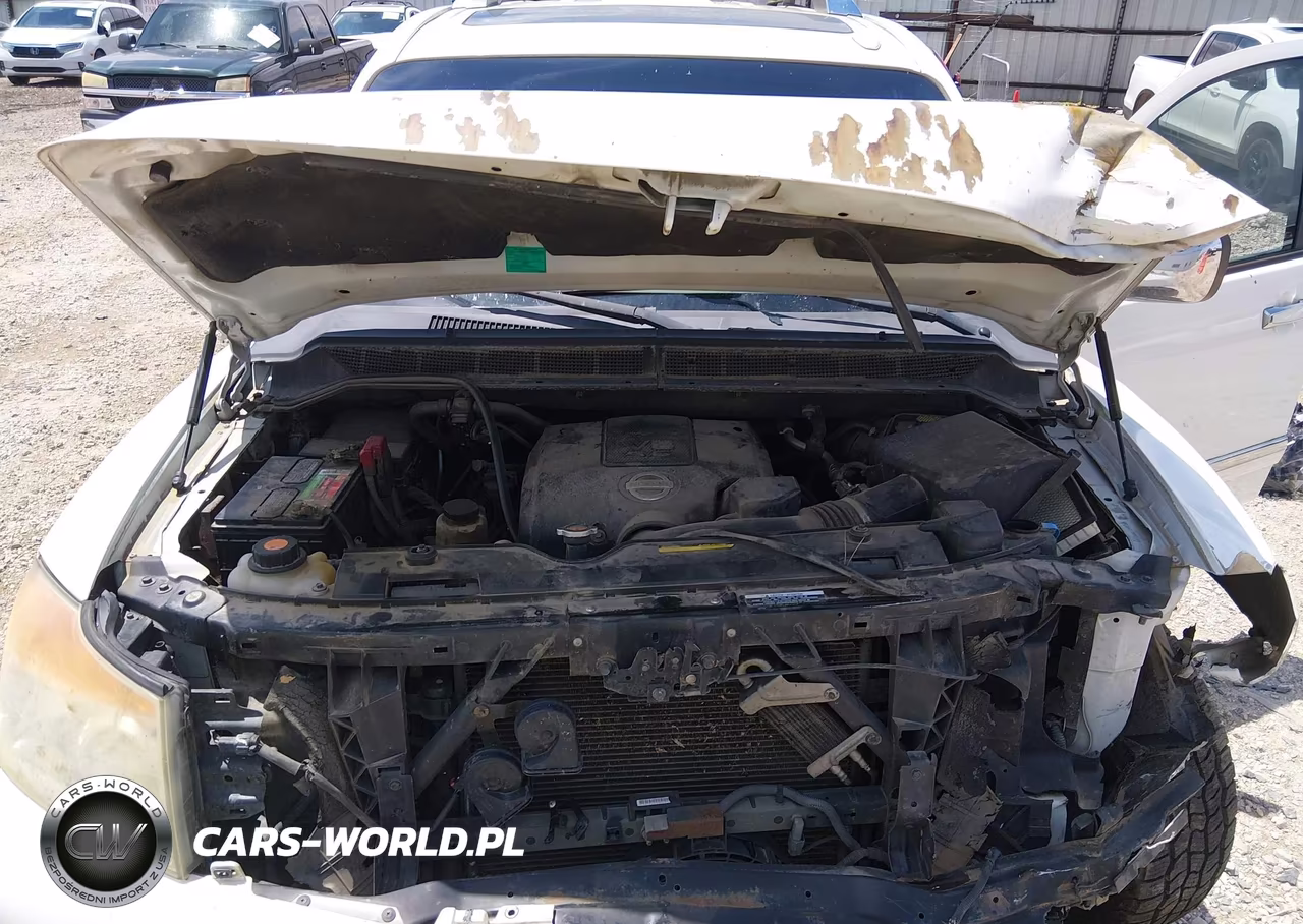2010 Nissan Armada Platinum VIN:5N1BA0NEXAN624141 - 10