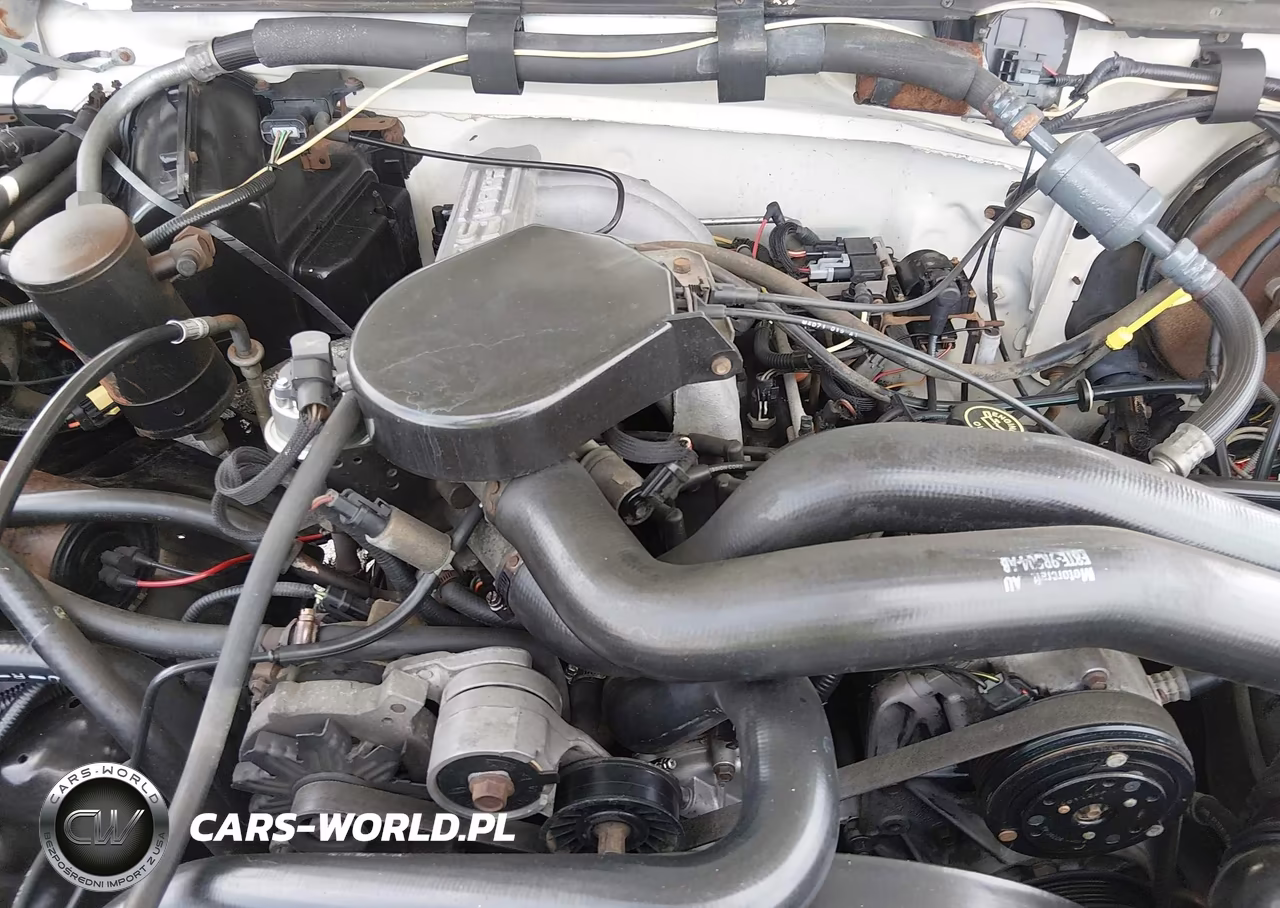 1991 Ford Bronco U100 VIN:1FMEU15H1MLA55250 - 10