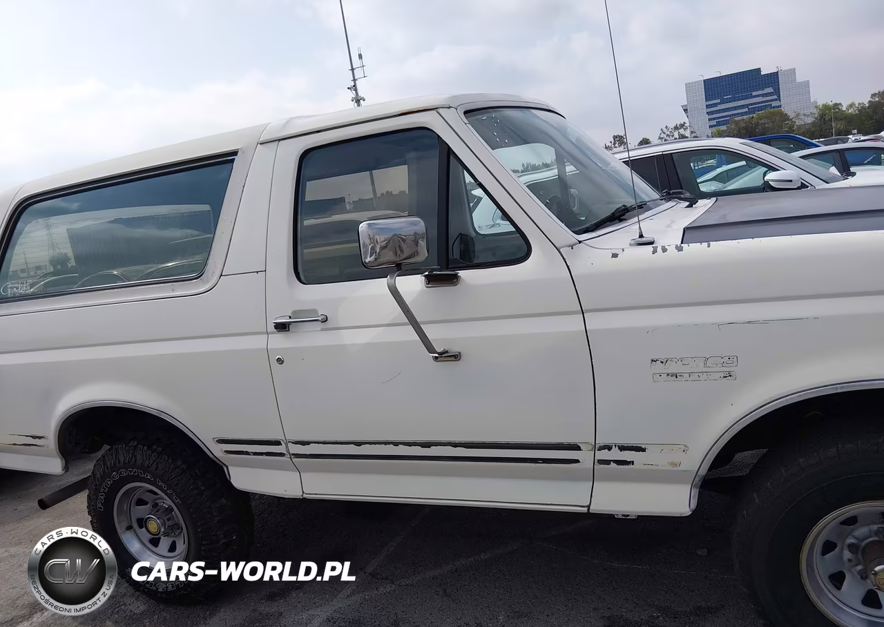 1991 Ford Bronco U100 VIN:1FMEU15H1MLA55250 - 12