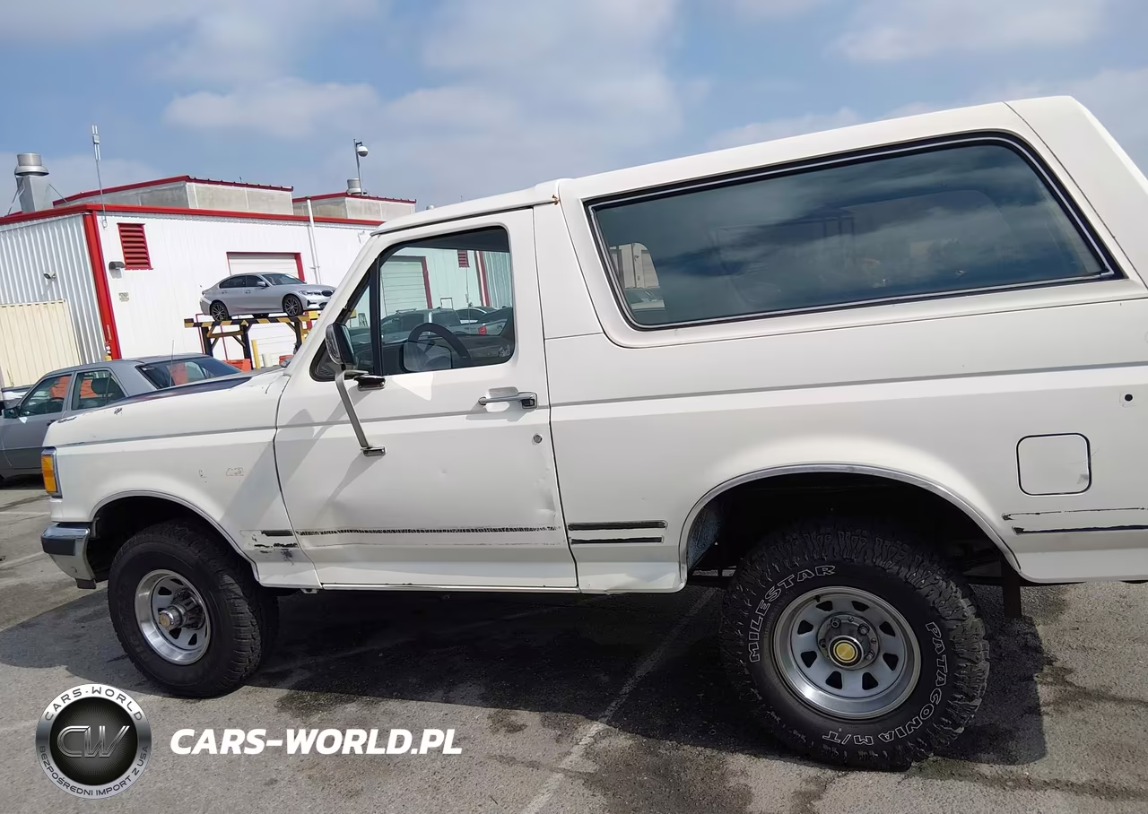 1991 Ford Bronco U100 VIN:1FMEU15H1MLA55250 - 13
