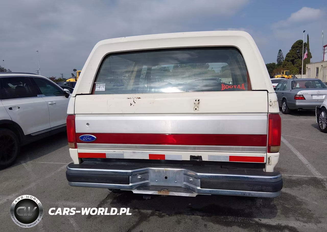 1991 Ford Bronco U100 VIN:1FMEU15H1MLA55250 - 15