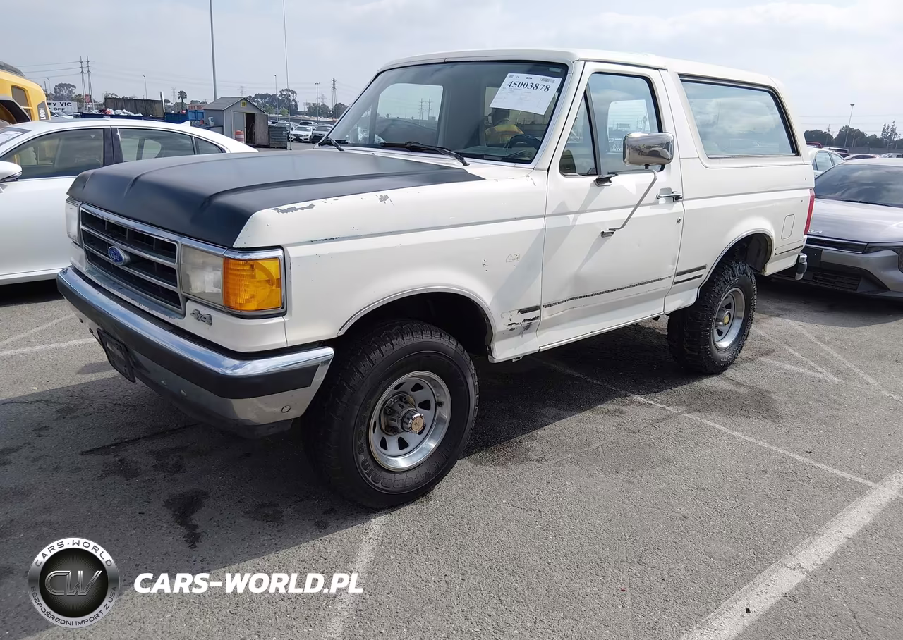 1991 Ford Bronco U100 VIN:1FMEU15H1MLA55250 - 2