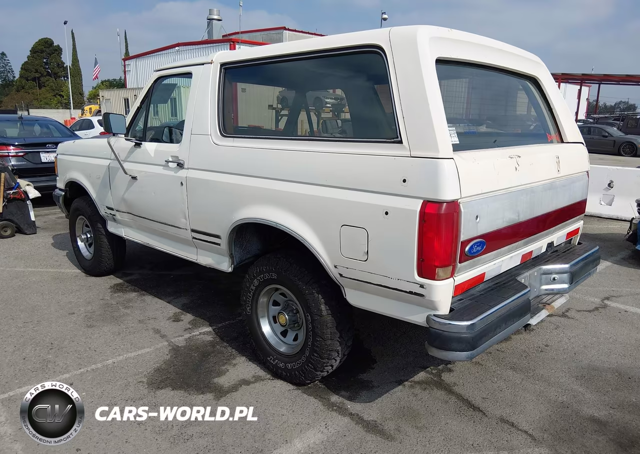 1991 Ford Bronco U100 VIN:1FMEU15H1MLA55250 - 3
