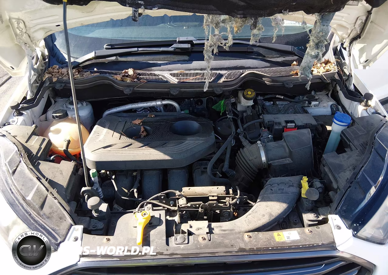 2018 Ford Ecosport Ses VIN:MAJ6P1CL3JC178444 - 10