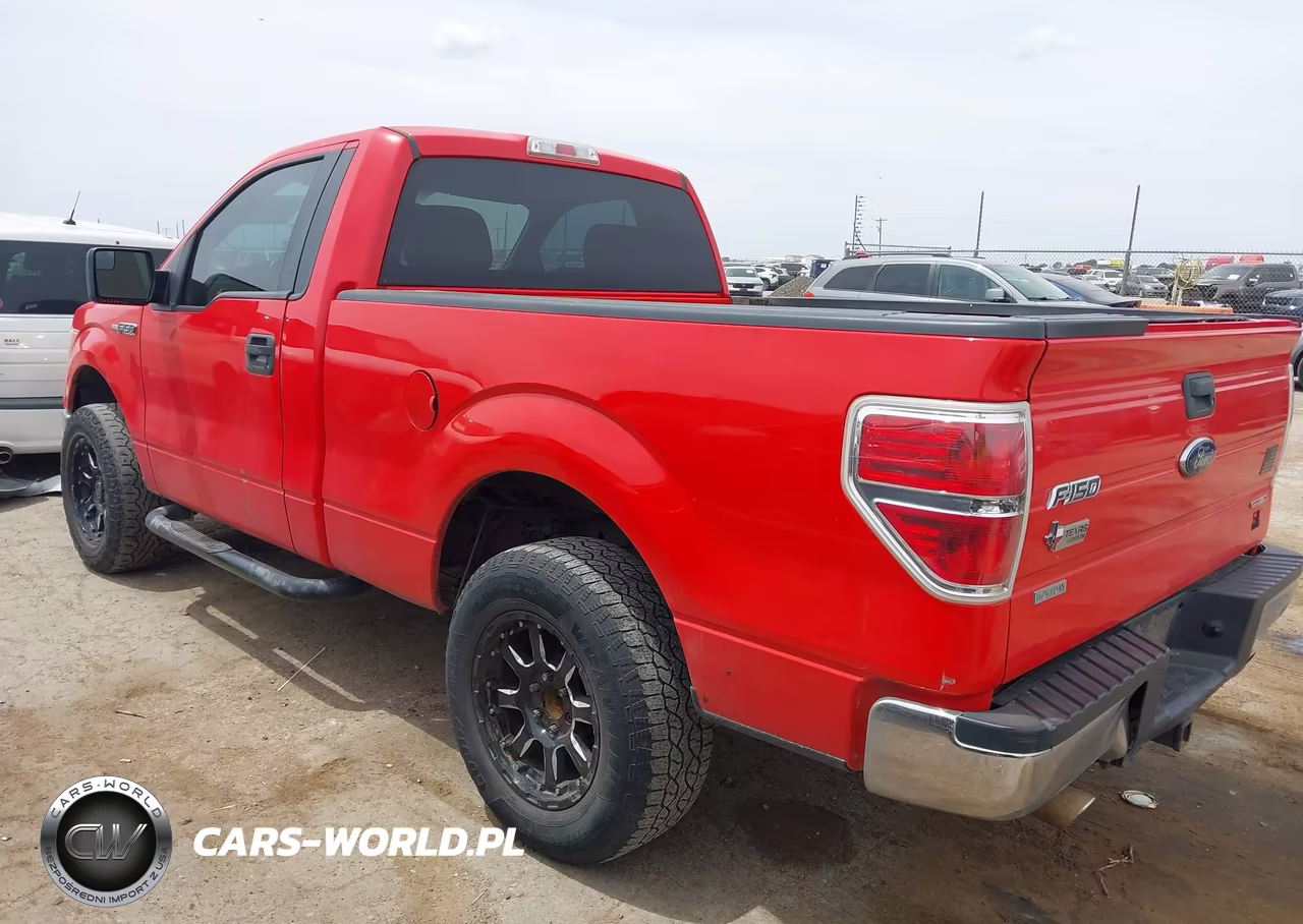 2013 Ford F-150 Xlt VIN:1FTMF1CM5DFE03334 - 3