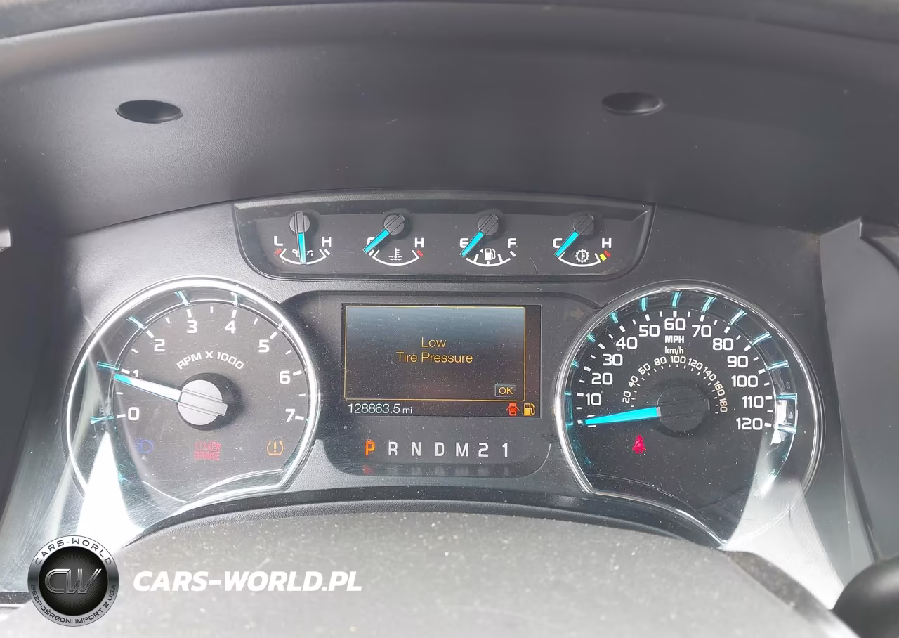 2013 Ford F-150 Xlt VIN:1FTMF1CM5DFE03334 - 7
