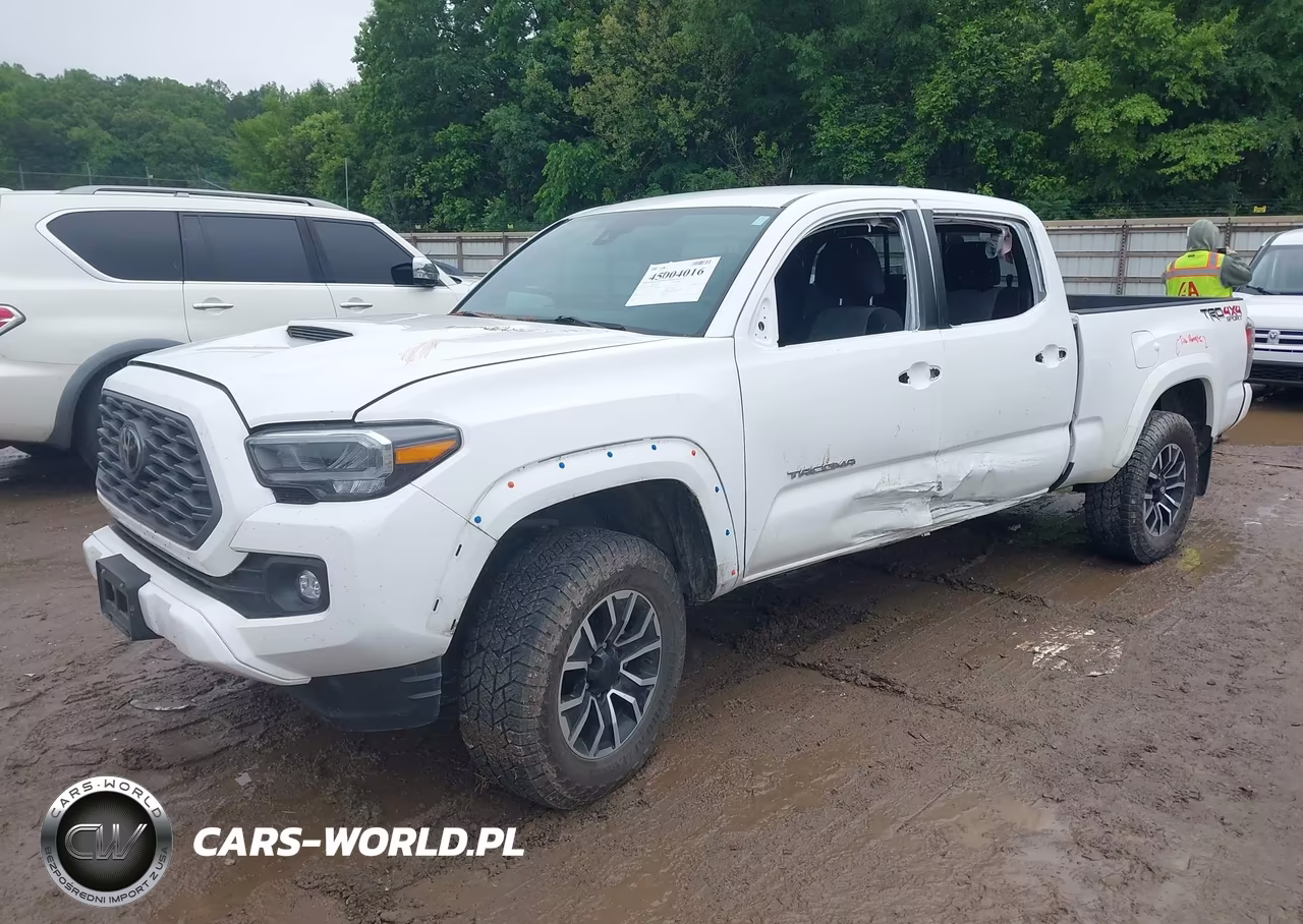2023 Toyota Tacoma Trd Sport VIN:3TMDZ5BN6PM149095 - 2