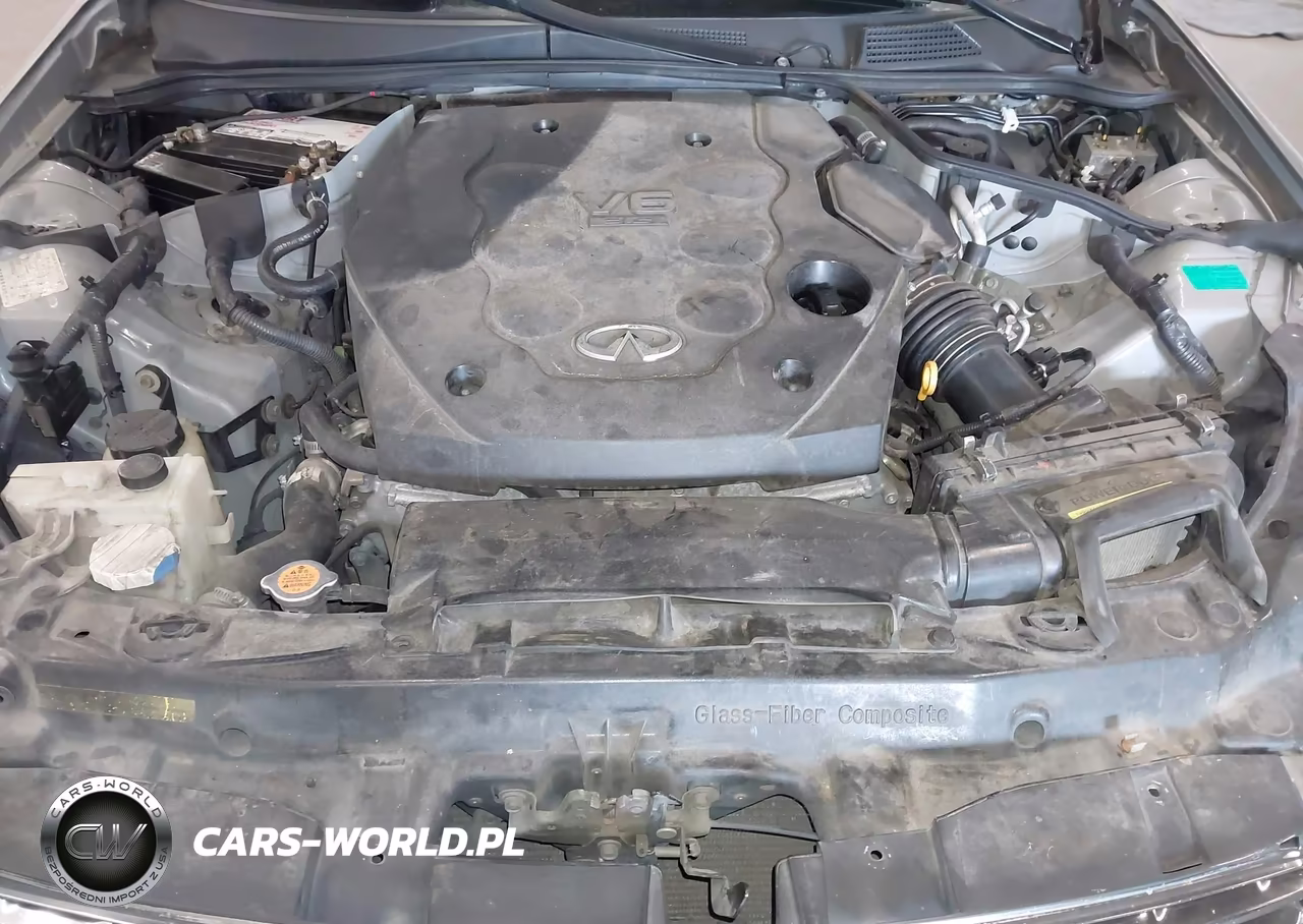 2004 Infiniti G35 VIN:JNKCV54E34M814271 - 10