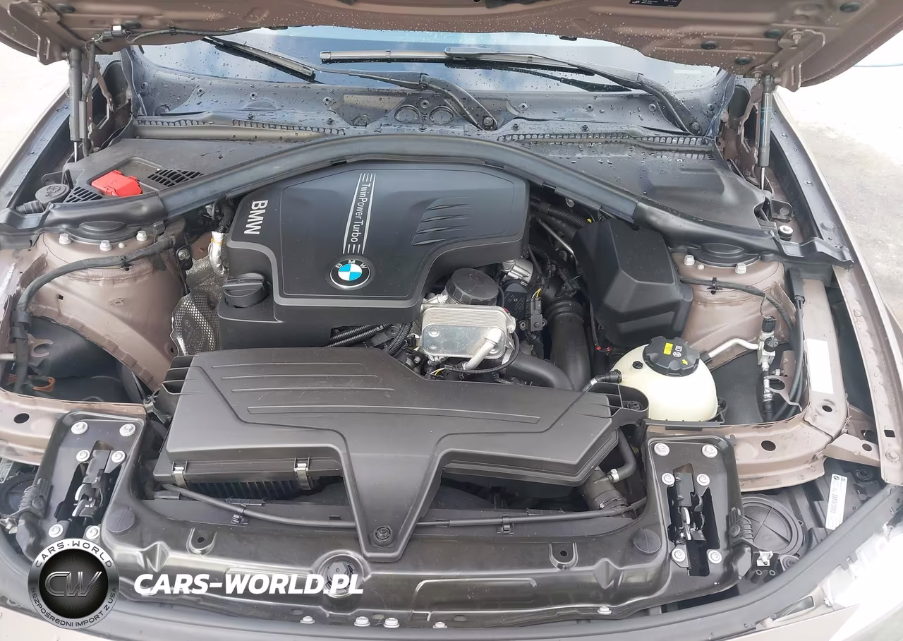 2015 BMW 320 I VIN:WBA3B1C57FK139461 - 10