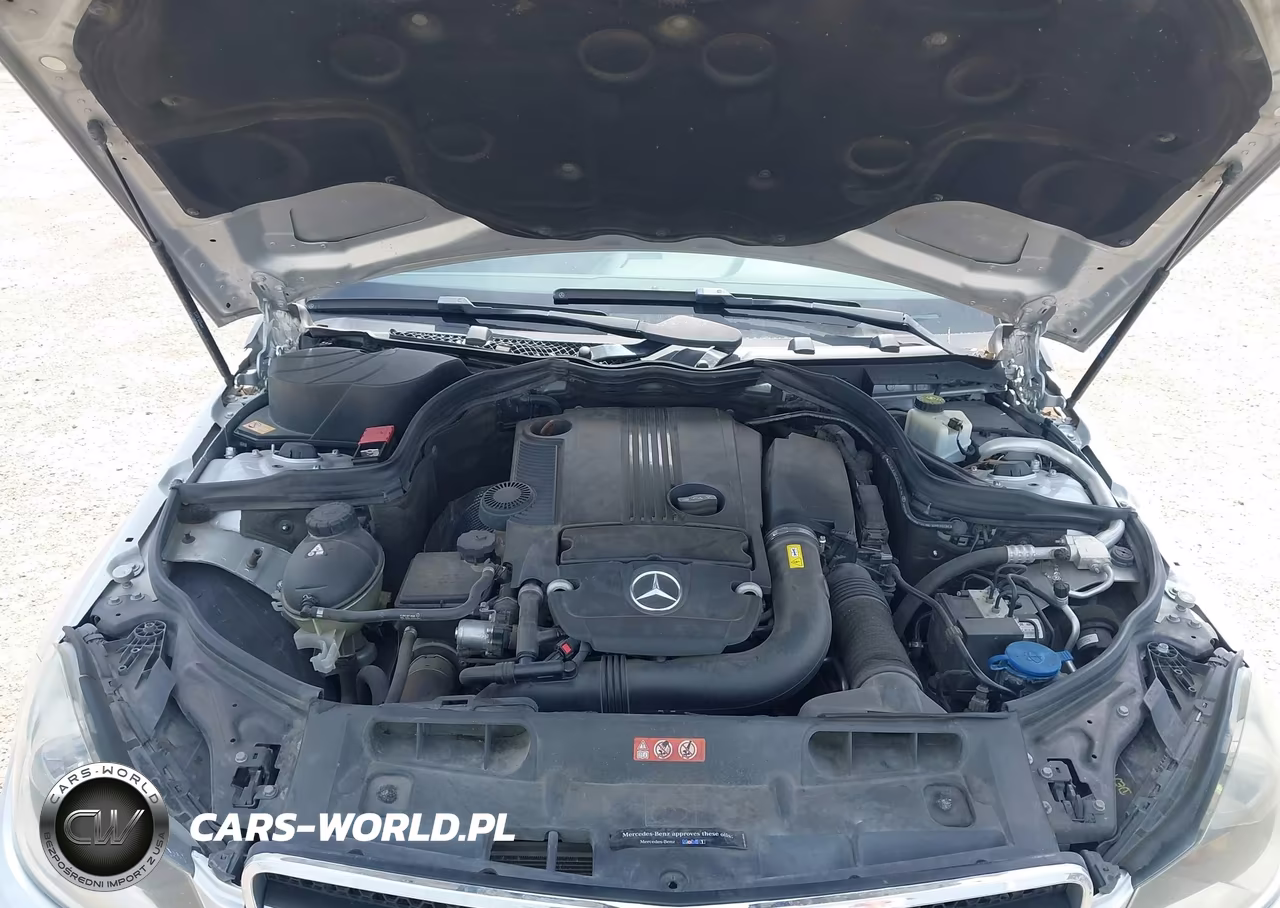2014 Mercedes-Benz C 250 Luxury-Sport VIN:WDDGF4HB0EA959478 - 10