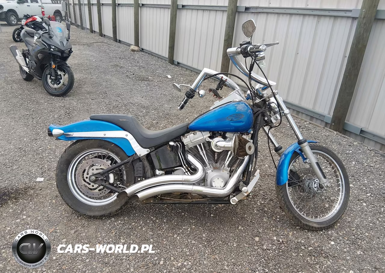 2004 Harley-Davidson Fxsti VIN:1HD1BVB144Y058457 - 11