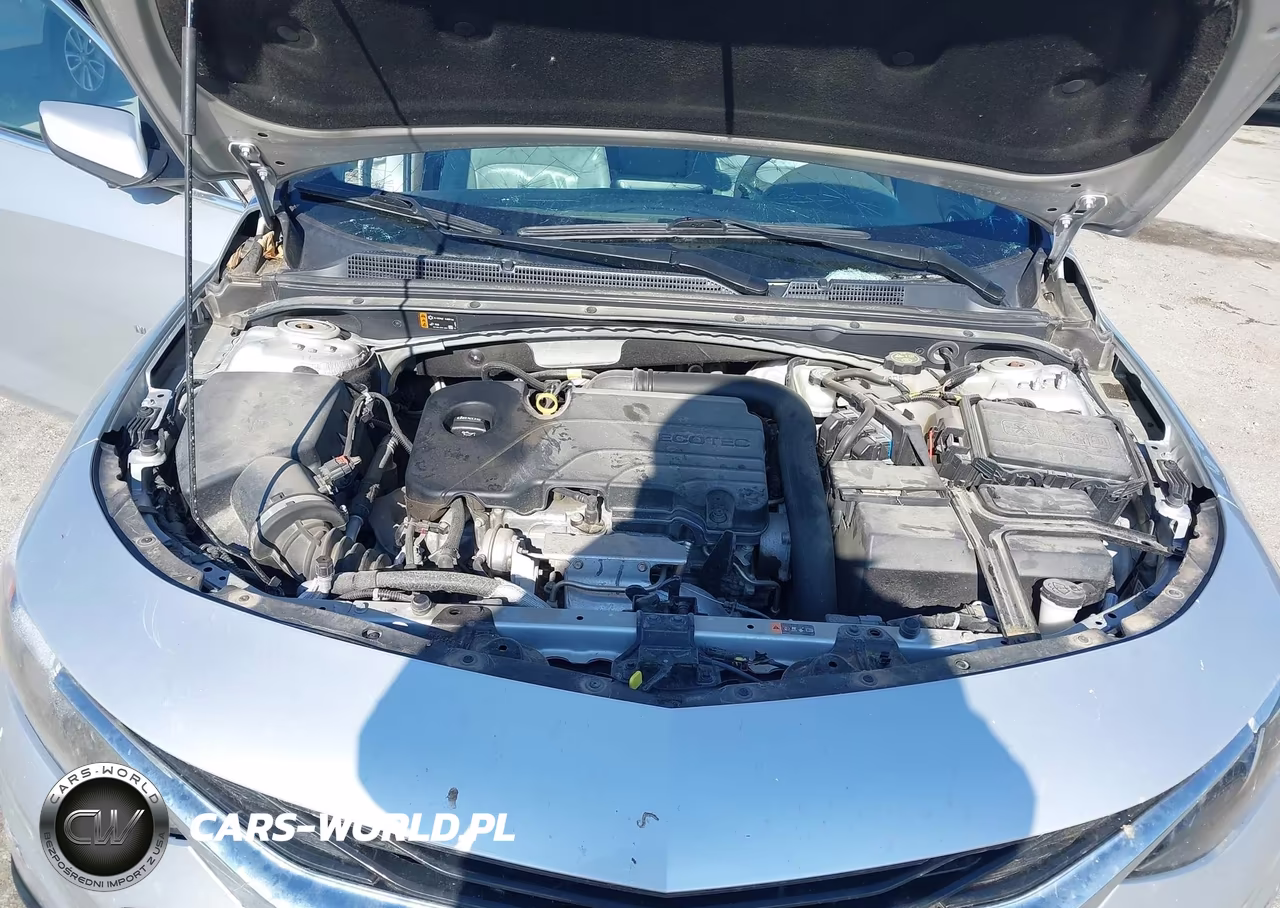 2019 Chevrolet Malibu Lt VIN:1G1ZD5ST1KF167928 - 10