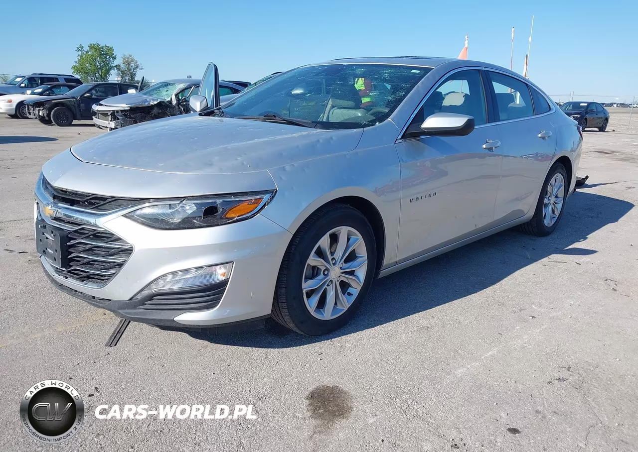 2019 Chevrolet Malibu Lt VIN:1G1ZD5ST1KF167928 - 2