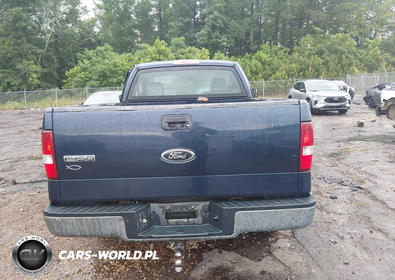 2005 Ford F-150 Stx-Xl-Xlt VIN:1FTRF12W95NA33103 - 16