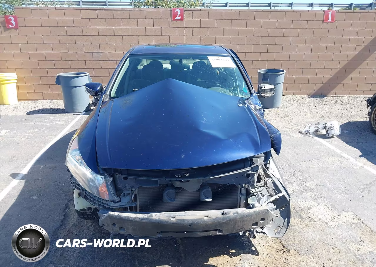 2010 Honda Accord 2.4 Ex VIN:1HGCP2F75AA052620 - 13