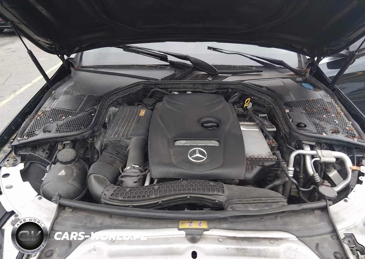 2017 Mercedes-Benz C 300 4Matic VIN:55SWF4KB2HU201599 - 10