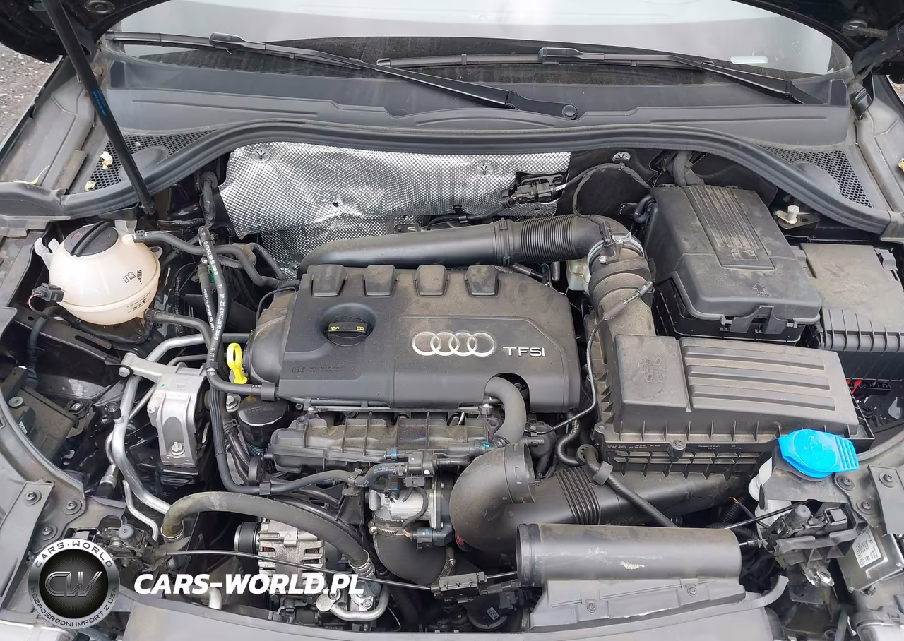 2015 Audi Q3 2.0T Premium Plus VIN:WA1EFCFS5FR009161 - 10