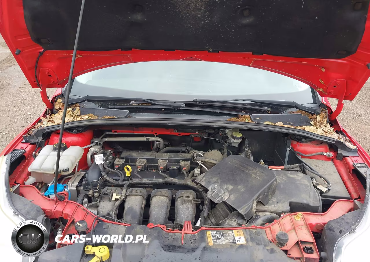 2014 Ford Focus Se VIN:1FADP3K20EL362404 - 10