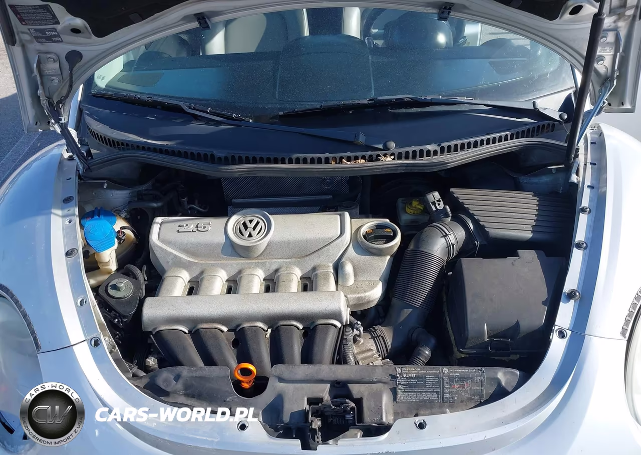 2007 Volkswagen New Beetle 2.5 VIN:3VWRF31Y17M419524 - 10