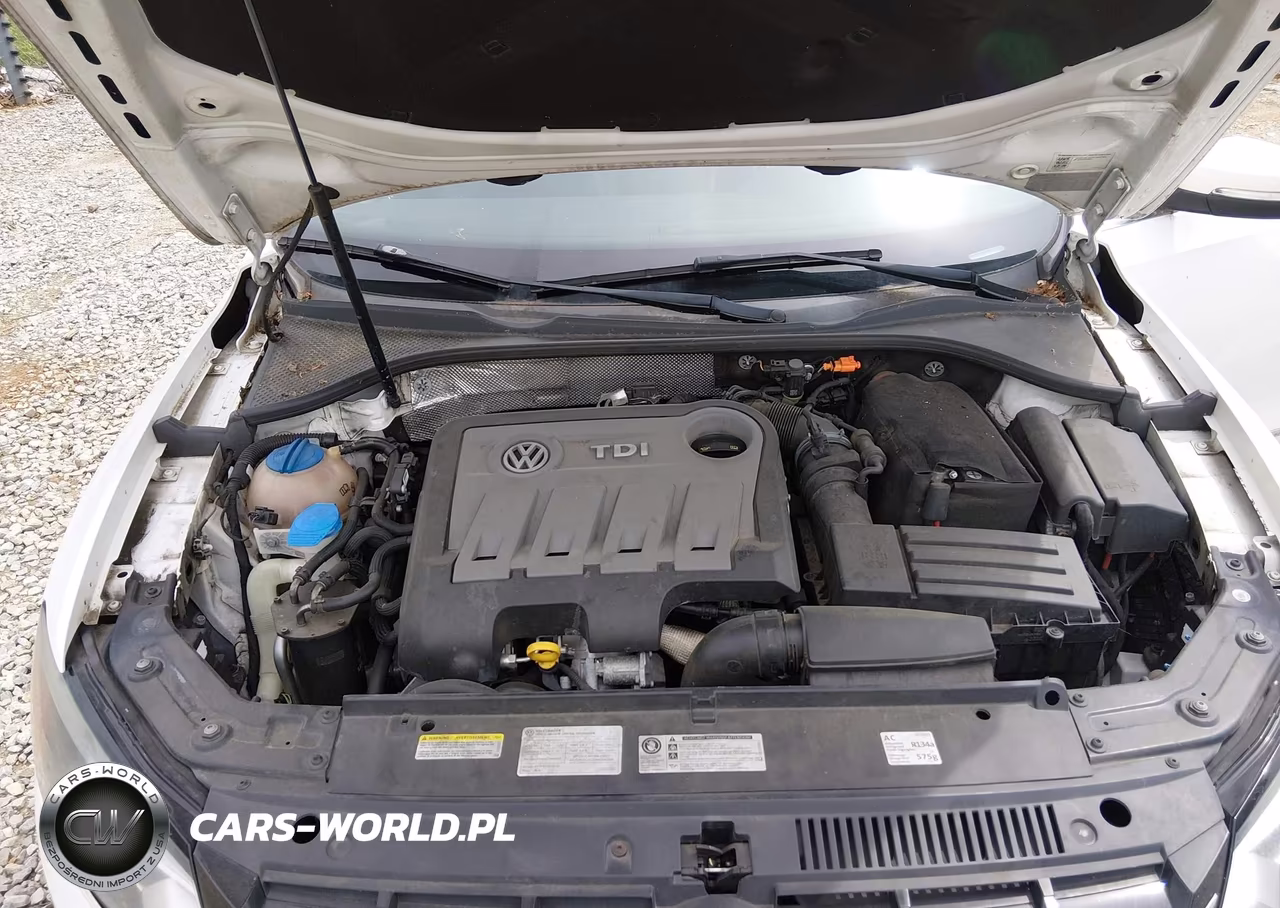 2014 Volkswagen Passat 2.0L Tdi Sel Premium VIN:1VWCN7A36EC080097 - 10
