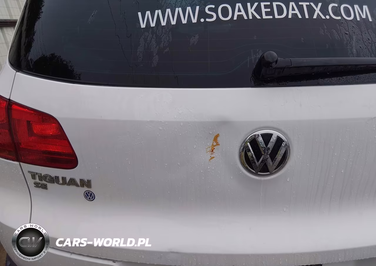 2016 Volkswagen Tiguan Se VIN:WVGBV7AX9GW539525 - 17