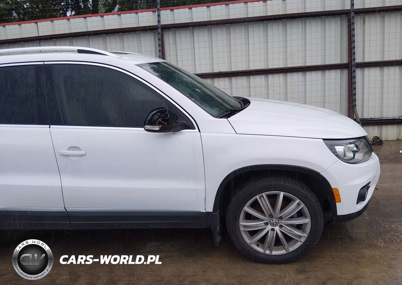 2016 Volkswagen Tiguan Se VIN:WVGBV7AX9GW539525 - 18