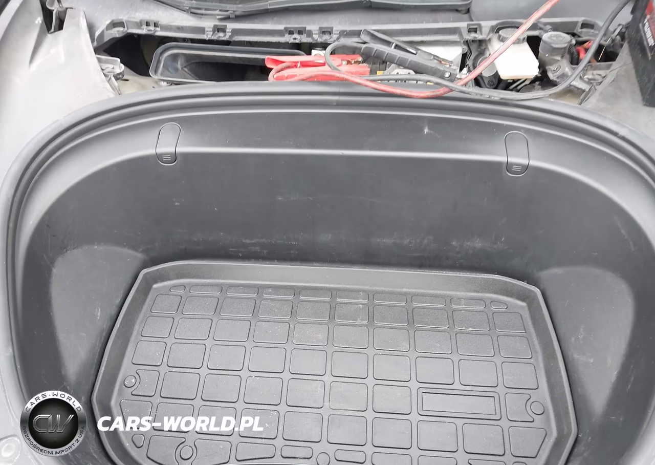 2019 Tesla Model 3 Long Range-Mid Range-Standard Range-Standard Range Plus VIN:5YJ3E1EA3KF298165 - 10