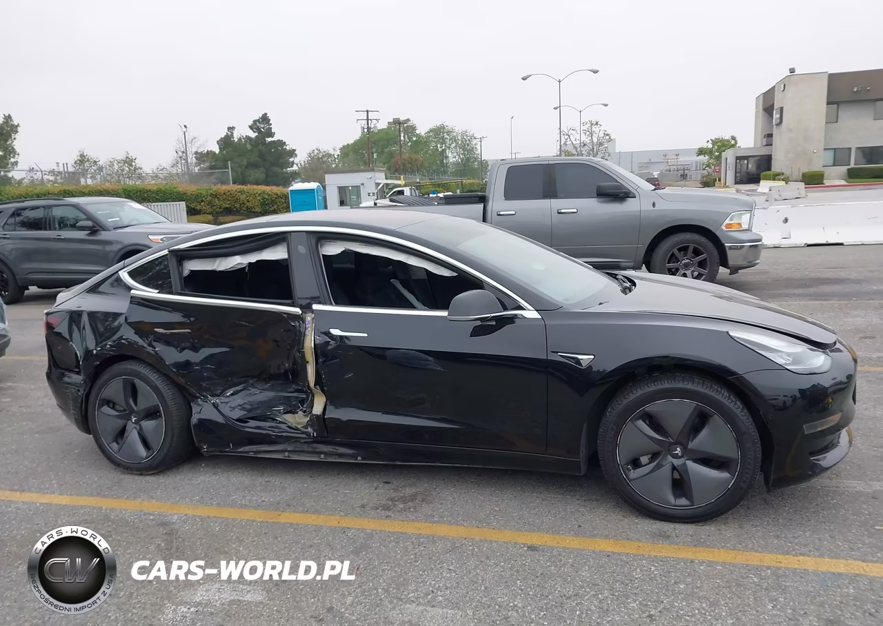 2019 Tesla Model 3 Long Range-Mid Range-Standard Range-Standard Range Plus VIN:5YJ3E1EA3KF298165 - 12