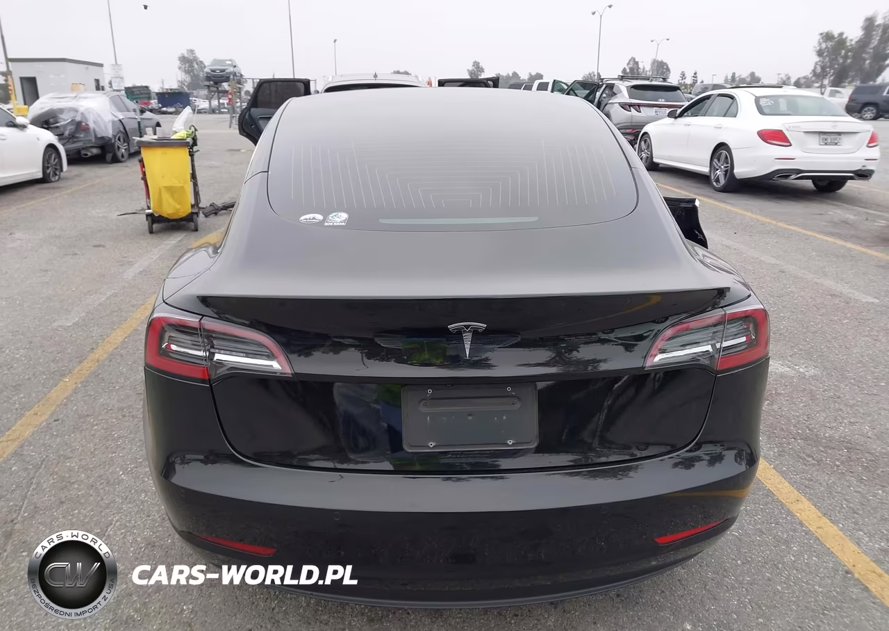 2019 Tesla Model 3 Long Range-Mid Range-Standard Range-Standard Range Plus VIN:5YJ3E1EA3KF298165 - 15
