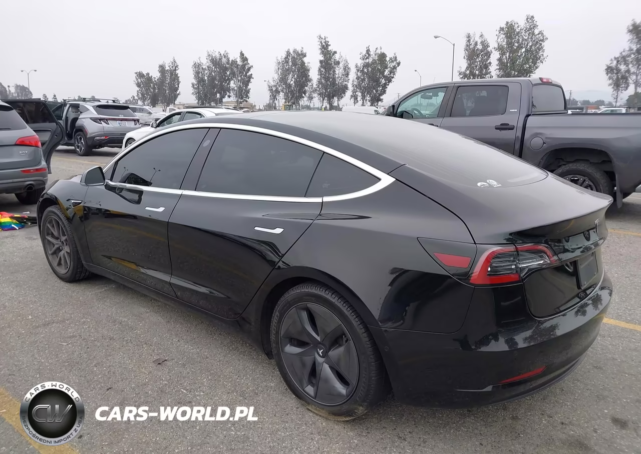 2019 Tesla Model 3 Long Range-Mid Range-Standard Range-Standard Range Plus VIN:5YJ3E1EA3KF298165 - 3