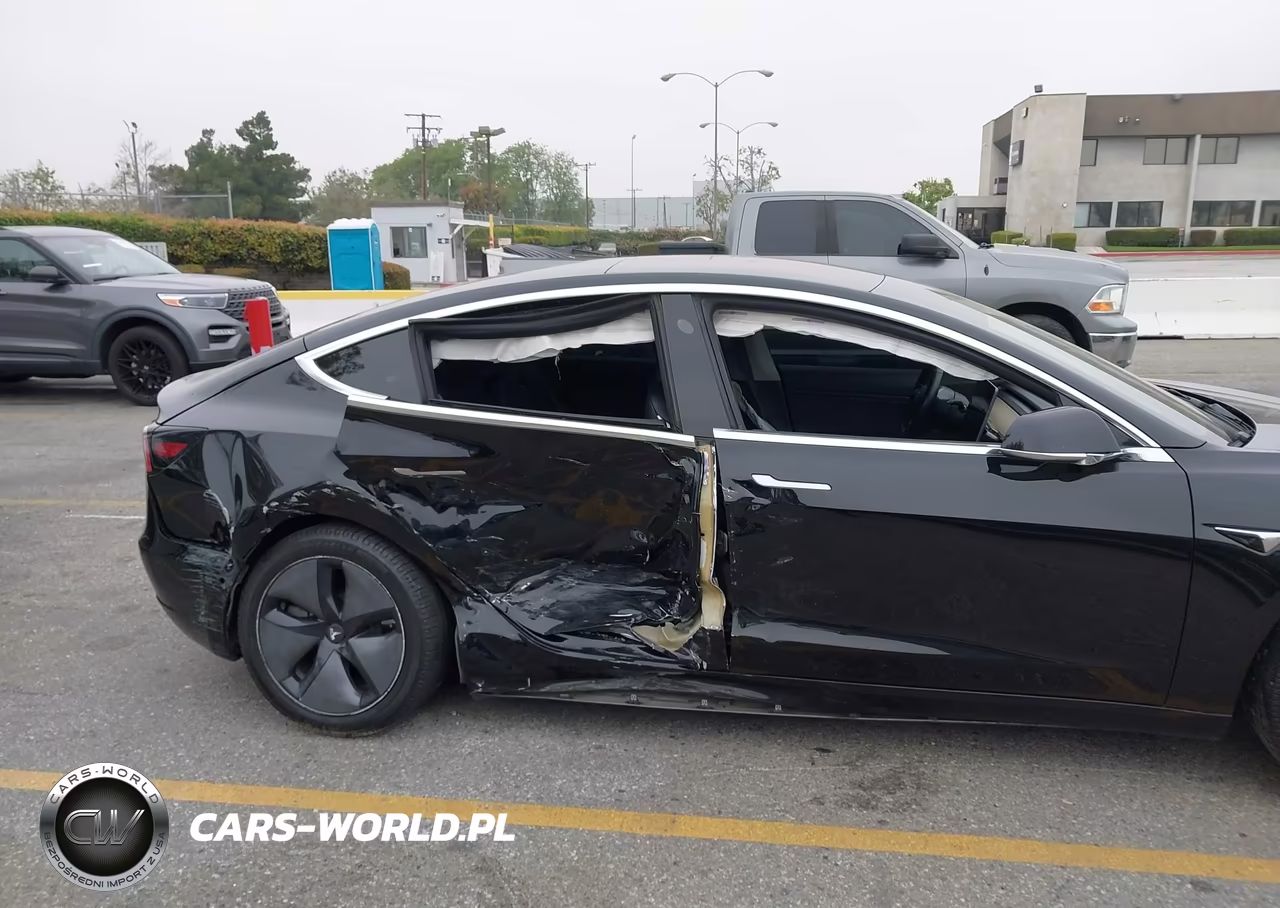 2019 Tesla Model 3 Long Range-Mid Range-Standard Range-Standard Range Plus VIN:5YJ3E1EA3KF298165 - 6