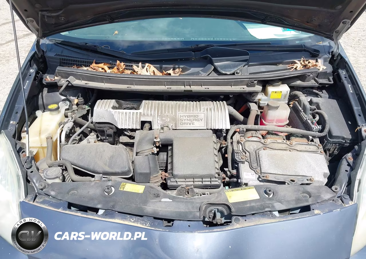 2010 Toyota Prius I-Ii-Iii-Iv-V VIN:JTDKN3DUXA0202631 - 10