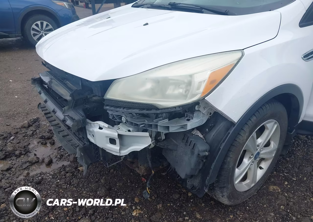 2015 Ford Escape Se VIN:1FMCU0G75FUA66996 - 18