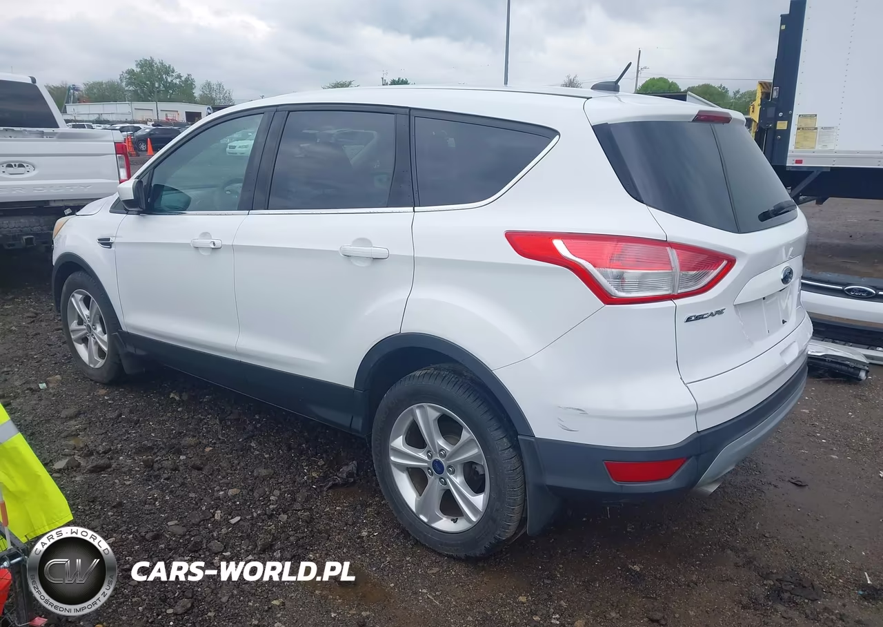 2015 Ford Escape Se VIN:1FMCU0G75FUA66996 - 3