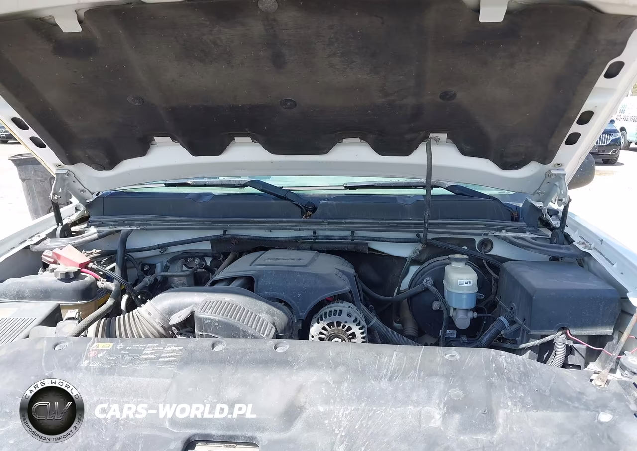 2012 Chevrolet Silverado 1500 Xtra Fuel Economy VIN:3GCPCSE79CG183289 - 10