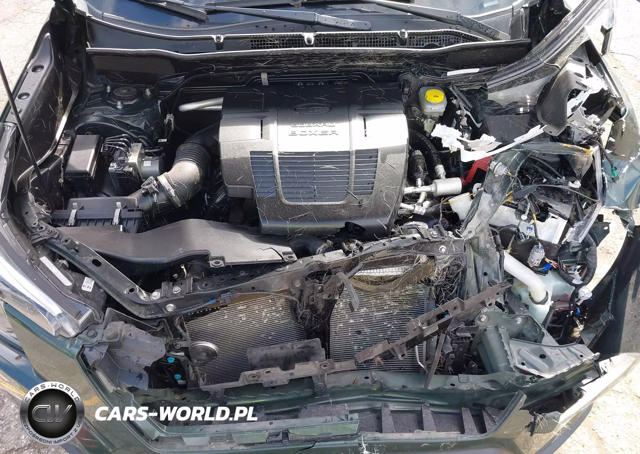 2023 Subaru Forester Touring VIN:JF2SKARC9PH497102 - 10